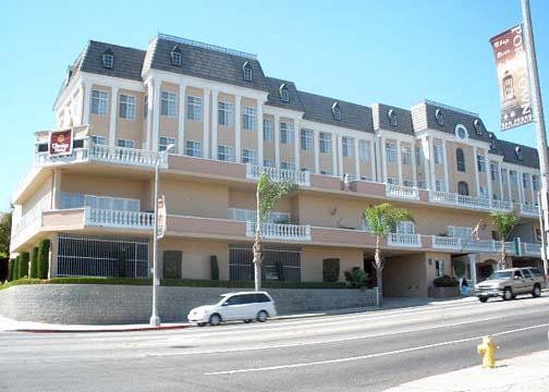 Western San Pedro Y 3*